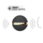 Slaptas Malonumas Auksas ir Juoda - Image 6