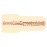 Fleshlight Fantazija – Sasha Nakamoto Ecchi - Image 10