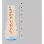 Fleshjack Boys - Reno Gold Golden Boy - Image 6