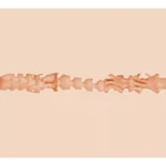 Fleshlight Girls - Bonnie Blue 1K Signature Vagina - Image 5