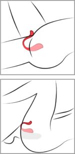 Phoenix Neo 2 - Image 8