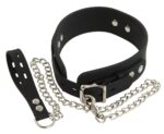 Silicone Collar with Leash