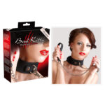 Silicone Collar with Leash - Image 5