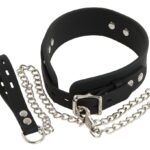 Silicone Collar with Leash