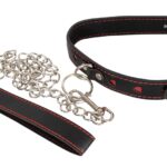 Collar and Leash