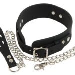 Silicone Collar with Leash