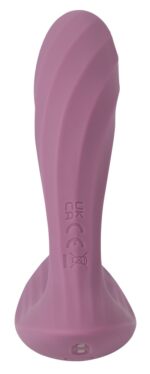 Erica Plus - Image 5