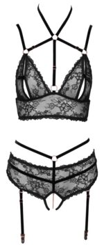 Bra plus Suspender Briefs - Image 3