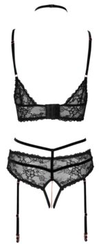 Bra plus Suspender Briefs - Image 5