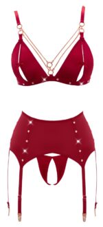 Bra and Suspender Set - Image 3