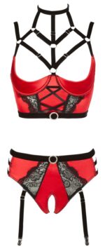 Shelf Bra and Briefs - Image 7