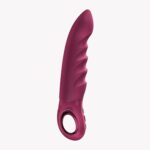 Vibratorius Fun Factory Stronic Deep - Image 8